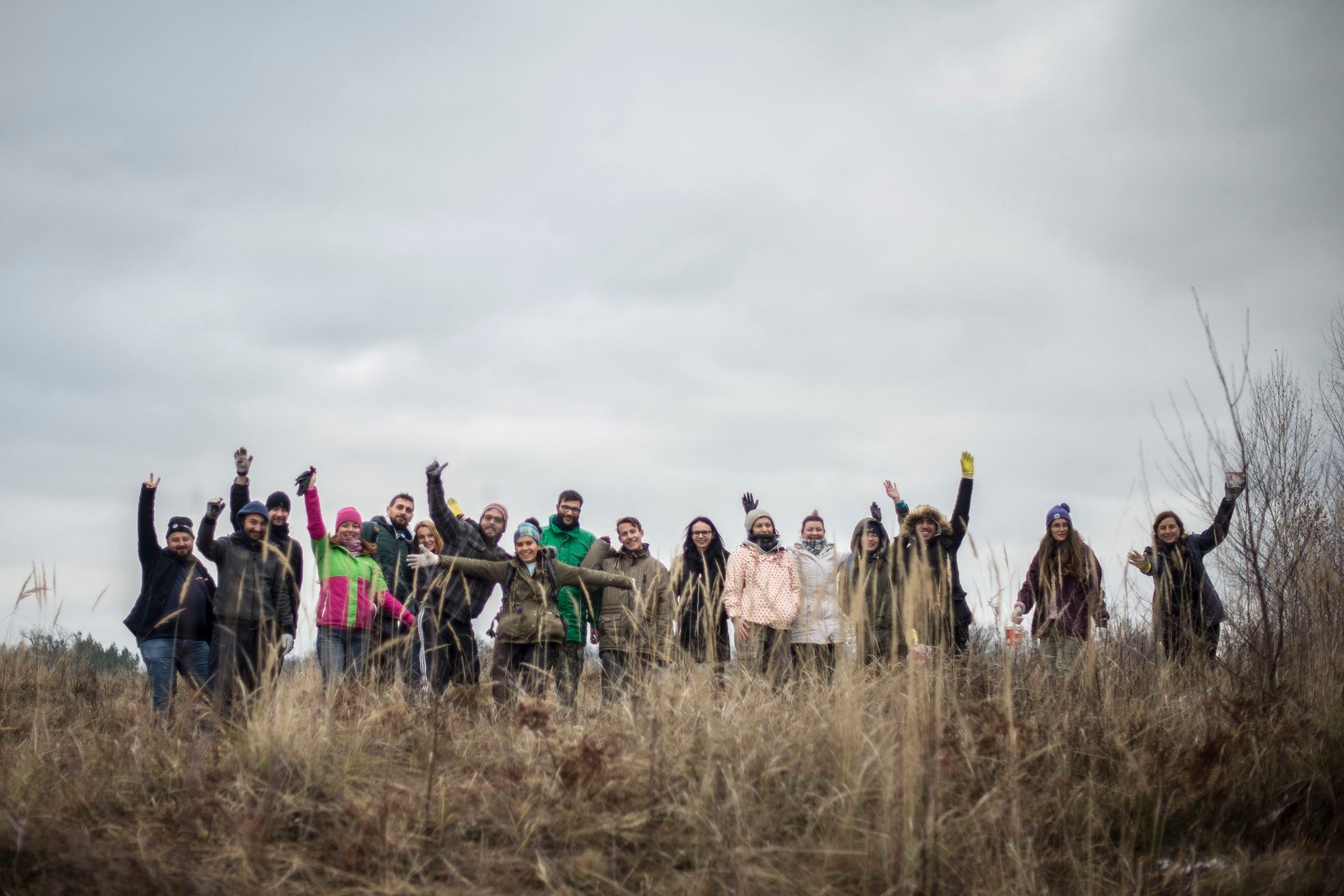 Arpasu Ingrijire 2019 Preview 1